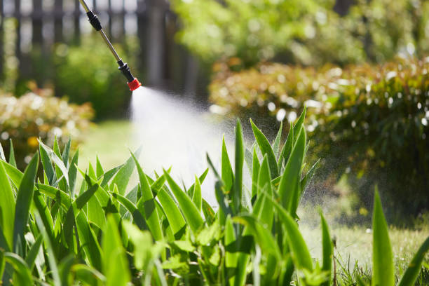 Tamper-Resistant Bait Stations for Rodents in Black Diamond